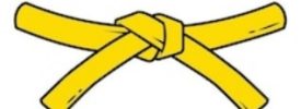 Programme cours de karaté pour a ceinture jaune