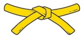 Programme cours de karaté pour a ceinture jaune