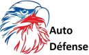 AUTO DEFENSE 2