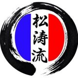 .logo shoto ryu france